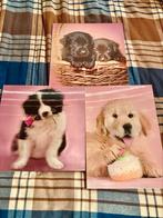 Kaders (foto’s) van hondjes in 3D effect., Verzamelen, Postkaarten | Dieren, Ophalen of Verzenden