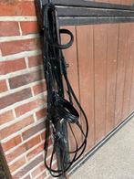 Bruid, Ophalen, Gebruikt, Dressuur