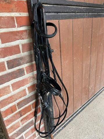 Bruid beschikbaar voor biedingen