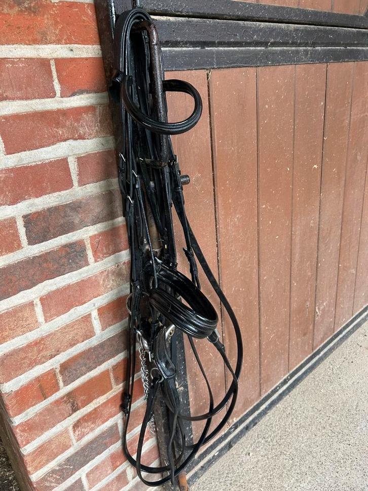 Bruid, Dieren en Toebehoren, Paarden en Pony's | Hoofdstellen en Tuigage, Gebruikt, Dressuur, Ophalen