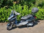 124cc 11kw à quelques kilomètres ! Piaggio x8, Scooter, Entreprise, Jusqu'à 11 kW, 1 cylindre