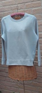 Trui maat s/m yessica, Kleding | Dames, Truien en Vesten, Overige kleuren, Yessica, Ophalen of Verzenden, Zo goed als nieuw