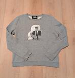 Karl Lagerfeld Sweater Grijs Dames - Maat S, Kleding | Dames, Karl Lagerfeld, Ophalen of Verzenden, Zo goed als nieuw, Maat 36 (S)