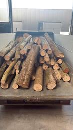 Brandhout op stam, Tuin en Terras, Brandhout, Ophalen