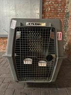 Petmate Skykennel XXXL IATA approved, Dieren en Toebehoren, Transportboxen, Ophalen, Gebruikt