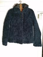 Winter jas van donkerblauwe teddy van edc maat M (Godelieve), Kleding | Dames, Jassen | Winter, Maat 38/40 (M), Ophalen of Verzenden