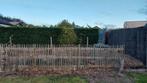 10 meter castanea afsluiting, 2 poortjes, incl palen, Ophalen, Gebruikt