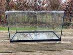aquarium 120L, Enlèvement, Utilisé, Aquarium vide