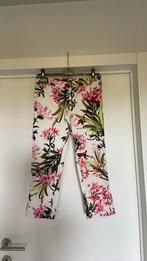 Damesbroek, Vêtements | Femmes, Culottes & Pantalons, Comme neuf, Trois-quarts, Taille 36 (S), Enlèvement