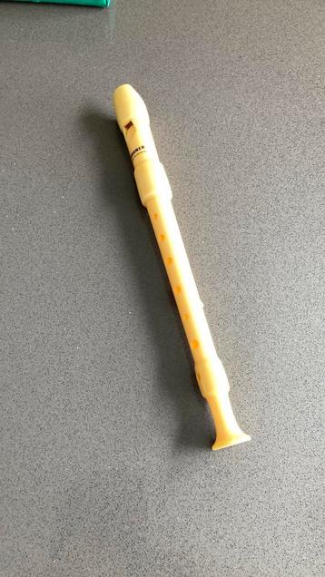 Blokfluit Hohner, Musique & Instruments, Instruments à vent | Flûtes à bec, Enlèvement, Utilisé