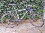Sintesi Hale-Bopp adulte 26 pouces, Fietsen en Brommers, Gebruikt, Hardtail, Heren, 53 tot 57 cm