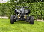 Limited edition Kawasaki KFX700, Motoren, 2 cilinders, 700 cc