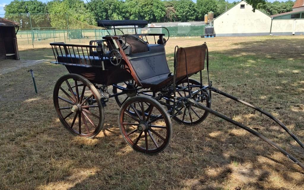 Paardenkoets, Dieren en Toebehoren
