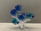 Swarovski Paradise School Vissen -35% Korting, Enlèvement ou Envoi, Neuf, Figurine
