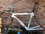 Framekit Gianni Motta Carbono, Fietsen en Brommers, 49 tot 53 cm, Ophalen, Gebruikt