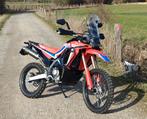 Honda CRF 300 Rally 2023 – Full Wilbers, 5L aux tank, Arrow, Motos, Motos | Honda, Éclairage LED, 300 cm³, Particulier, Permis Moto A2 minimum