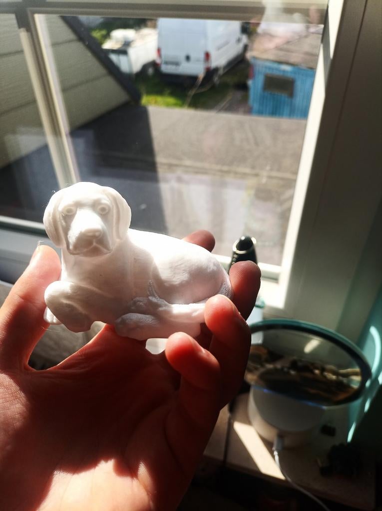 3d geprint hond, Ophalen