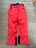 Skibroek voor dames, Maat 42/44 (L), Zo goed als nieuw, CMP, Ophalen