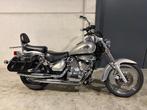 Suzuki VL 250 Intruder lichte wendbare cruiser, Entreprise, Chopper, 12 à 35 kW, 250 cm³