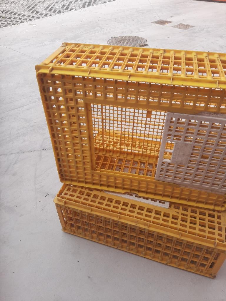 Pluimvee , bakken voor transport pluimvee, Dieren en Toebehoren, Ophalen, Gebruikt, Kippenhok of Kippenren