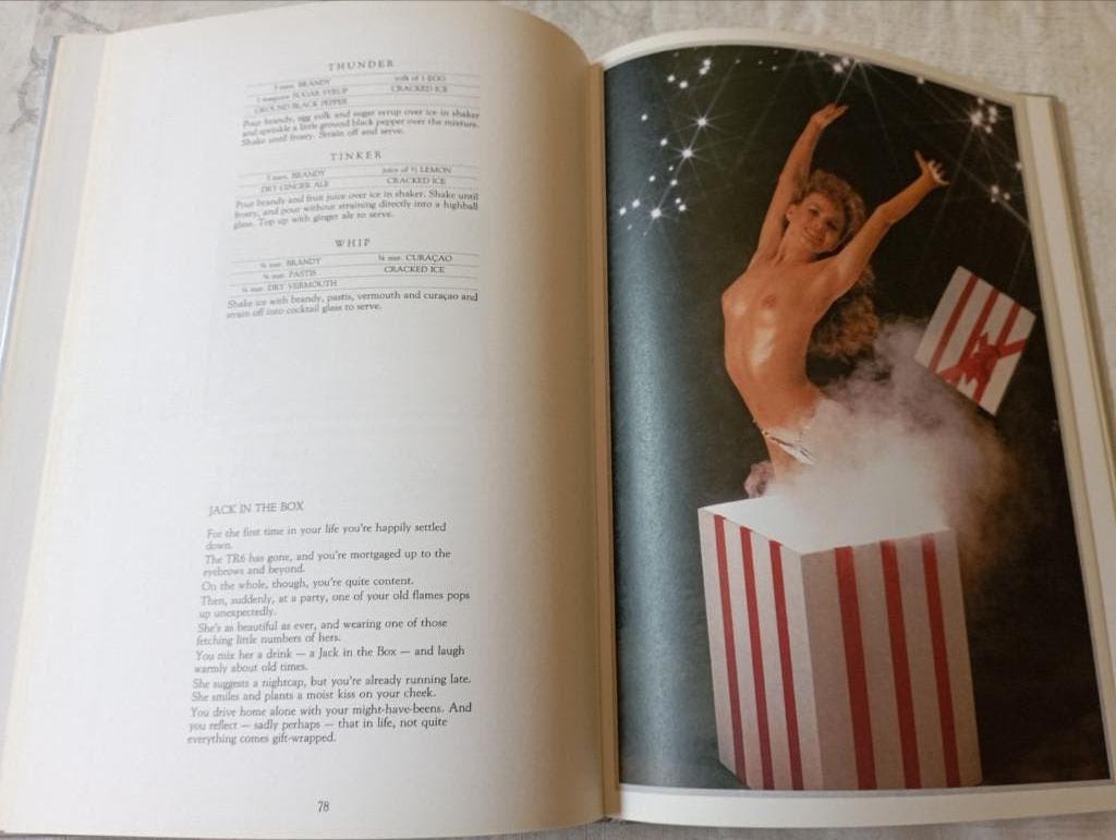 686) Cocktails ( the subtle art of mixing well ), Livres, Art & Culture | Photographie & Design, Enlèvement ou Envoi