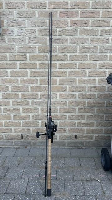 2x Hengel 3 m 100 gr met molen EOS 10000, Ophalen, Gebruikt, Complete set