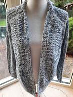 Tof vest BRAX - 38/40, Kleding | Dames, Truien en Vesten, Maat 38/40 (M), Overige kleuren, Brax, Ophalen of Verzenden