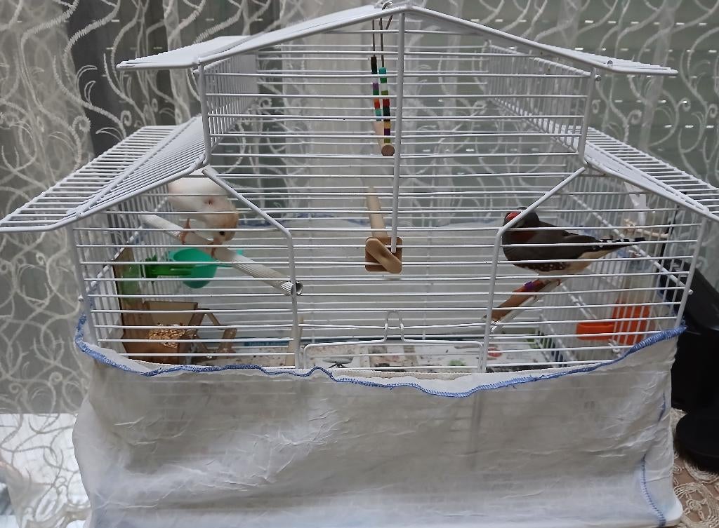 Cage oiseaux avec ses accessoires complets LIRE DESCRIPTION, Enlèvement ou Envoi