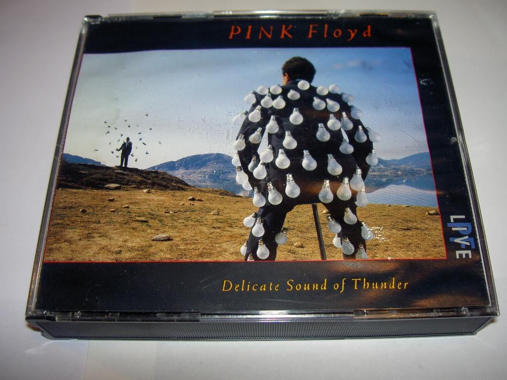 CD Pink Floyd — Delicate Sound of Thunder, Enlèvement ou Envoi, Utilisé