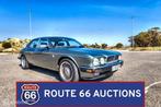 Jaguar XJ40 4.0 | 1994 | Route 66 Auctions, Achat, Entreprise, Boîte manuelle, Autre carrosserie