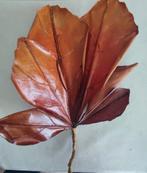 Décoration pour aménagement de magasins, Enlèvement ou Envoi