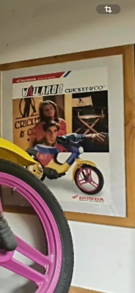 Honda wallaroo folder, Motos, Enlèvement