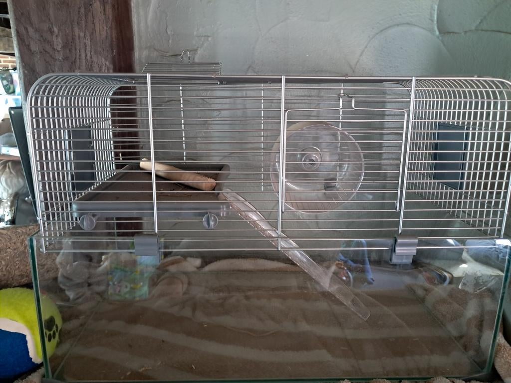 Hamsterkooi, Ophalen, Kooi