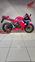 Honda CBR600RR (année de construction 2024), 599 cm³, Entreprise, Plus de 35 kW, Super Sport