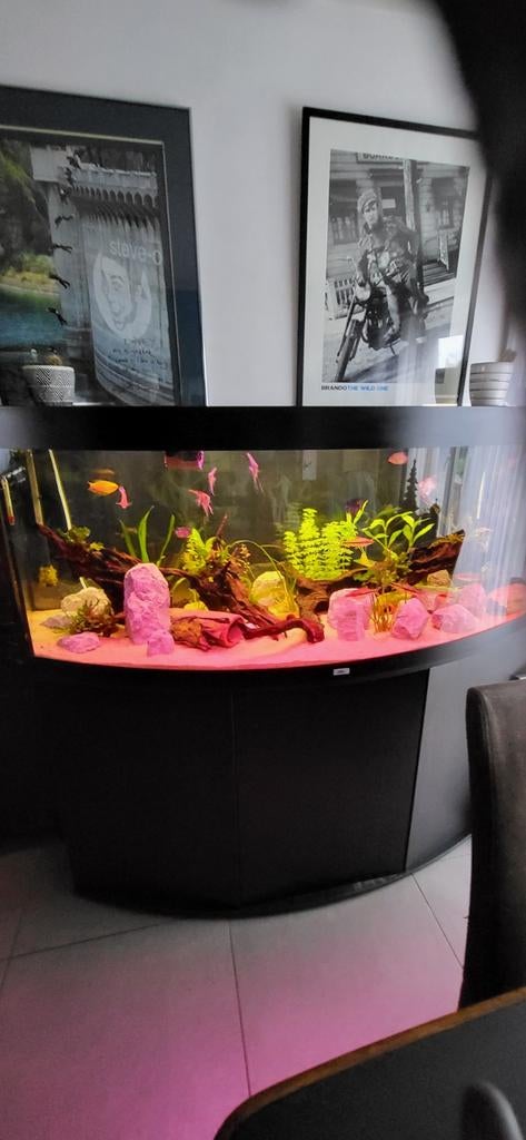 Juwel vision 450, Ophalen, Zo goed als nieuw, Verwarming, Juwel