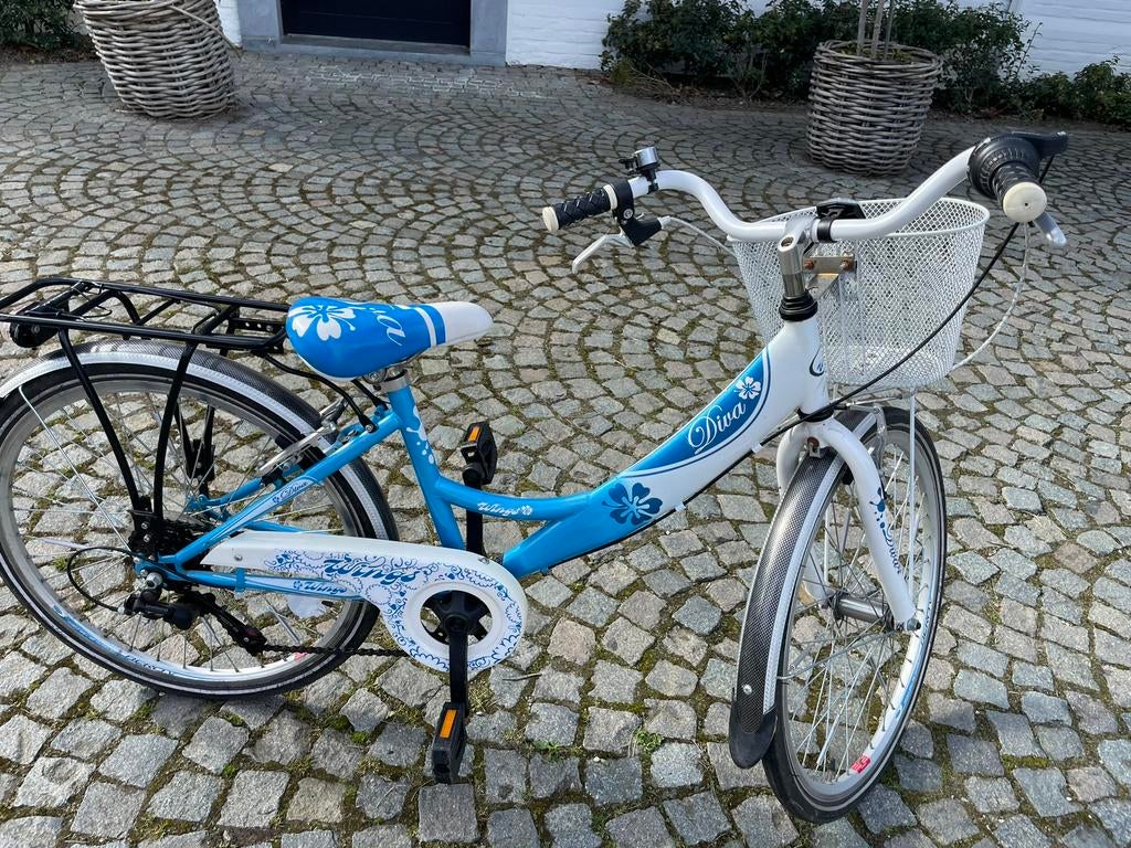 Vélo pour enfant fille 20 pouces, Vélos & Vélomoteurs, Vélos | Filles, Enlèvement, Utilisé, 20 pouces