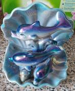 Coquillage dauphin, Collections, Enlèvement ou Envoi