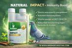 Green Power, Impact "Immunity Boost" 250ml, Natural, Enlèvement