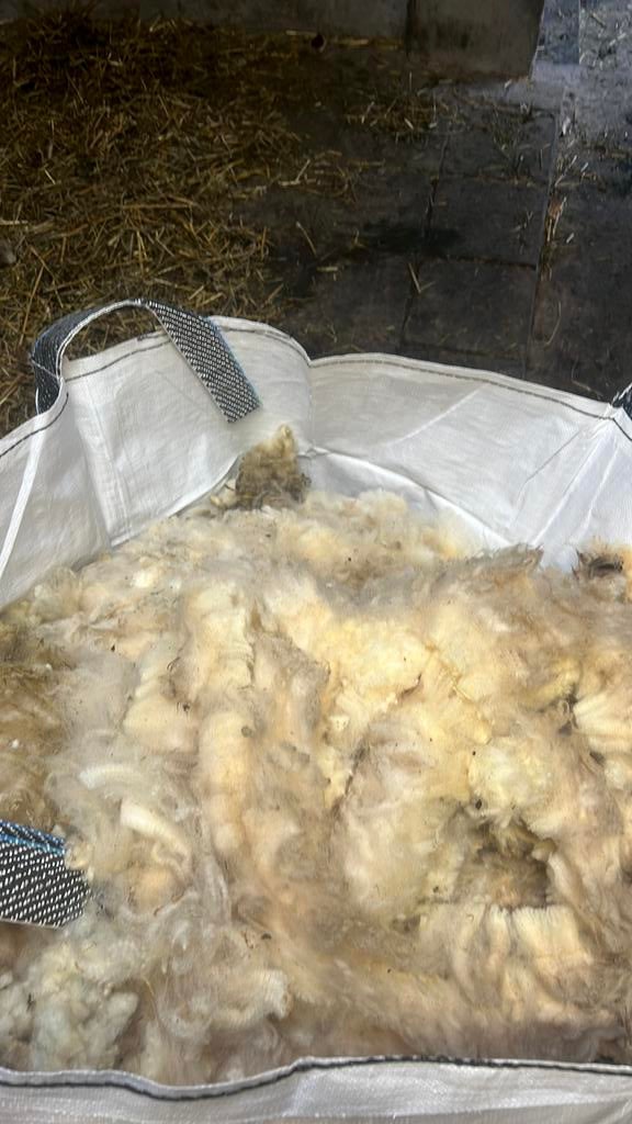 Gratis bigbag proper wol op te halen in Zogge, Ophalen of Verzenden