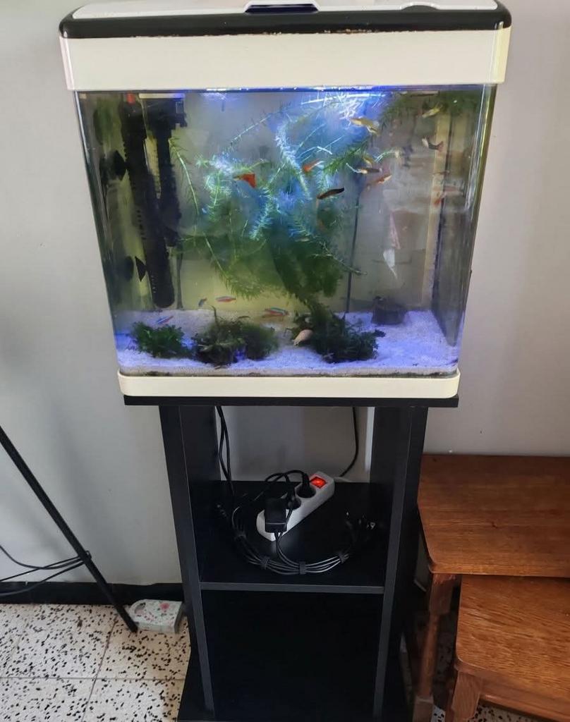 Aquarium complet 50L, Animaux & Accessoires, Aquarium d'eau douce rempli, Enlèvement, Superfish, Poissons inclus