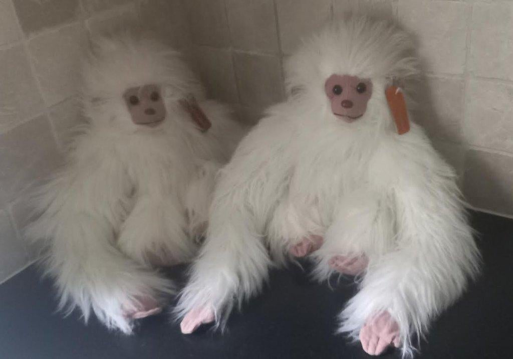 Knuffel aap wit met lange haren 2 stuks, Enfants & Bébés, Jouets | Peluches, Comme neuf, Singe, Moyen (20 à 80 cm), Blanc, Avec étiquette