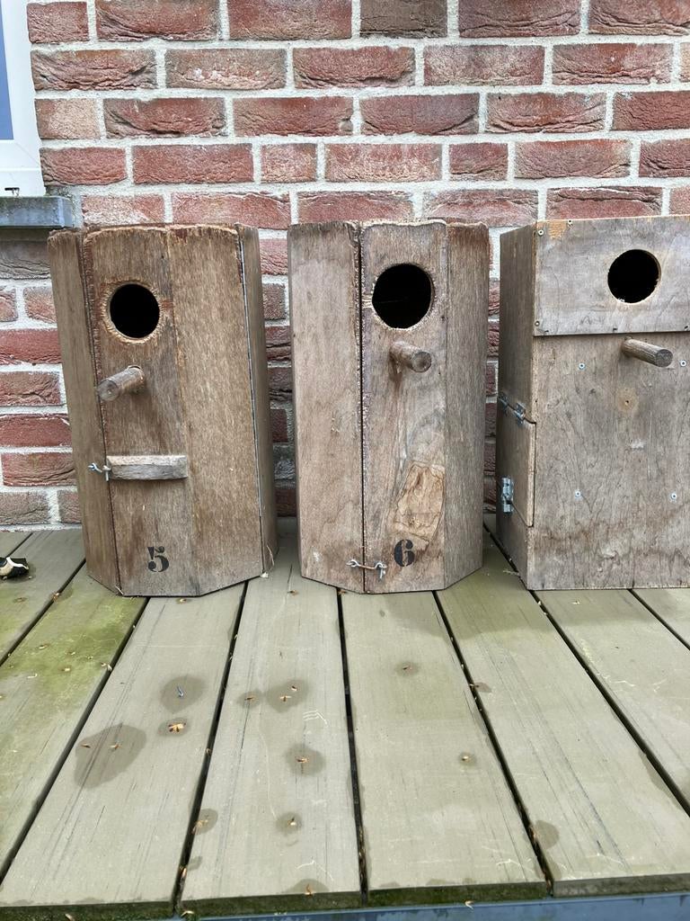 BROEDBLOKKEN/BROEDKASTEN VOOR KLEINE EN GROTE VOGELS, Jardin & Terrasse, Maisons & Bains d'oiseaux, Comme neuf, Enlèvement