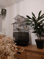 Vogelkooi, Enlèvement, Utilisé, Métal, Cage à oiseaux