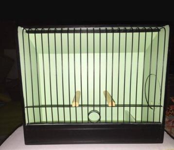 Cages d'exposition pour glosters  beschikbaar voor biedingen