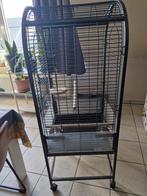 Papegaaienkooi, Enlèvement, Comme neuf