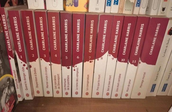 La communauté du sud, Boeken, Fantasy, Zo goed als nieuw, Ophalen