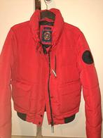 Winterjas heren, Ophalen, Maat 48/50 (M), SuperDry, Nieuw