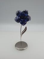 Swarovski Darany - Tanzanite 848450., Ophalen of Verzenden, Nieuw