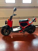 Honda Zoomer nieuw, Vélos & Vélomoteurs, Neuf, Classe B (45 km/h), Enlèvement