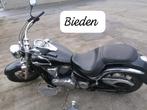 Kawasaki VN900, Chopper, 2 cylindres, Particulier, 900 cm³